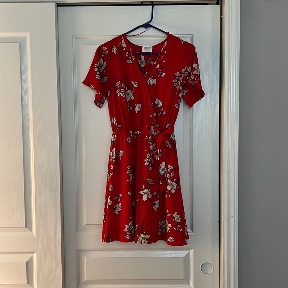Sienna Sky red dress. Perfect for the office or casual outing. (Size S)